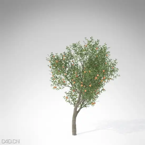 20种果树3D模型 XfrogPlants – FRUIT TREES - C4D之家 - FR16a-peach_550x550.jpg
