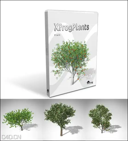 20种果树3D模型 XfrogPlants – FRUIT TREES - C4D之家 - 11736aa89da98a8f2fd2e8a78e875bf3.png