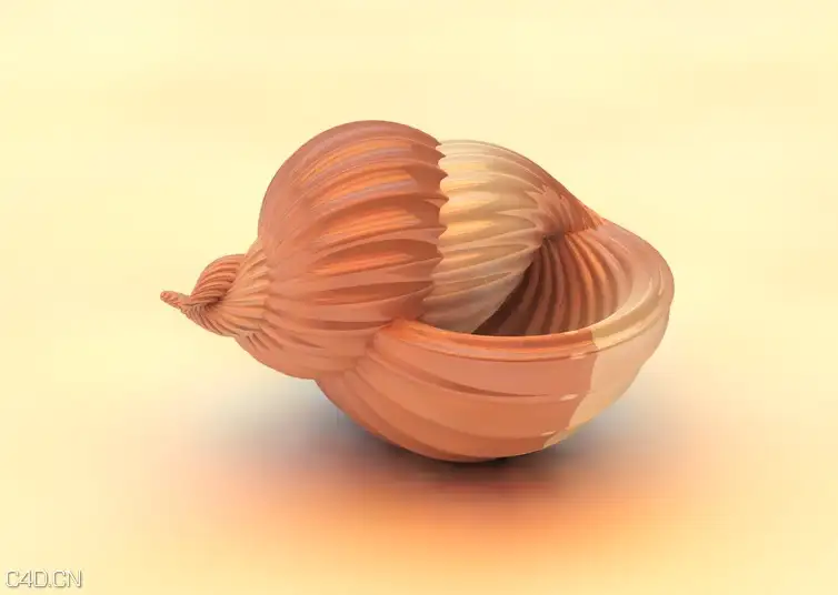 海螺C4D模型 Conch 3D model