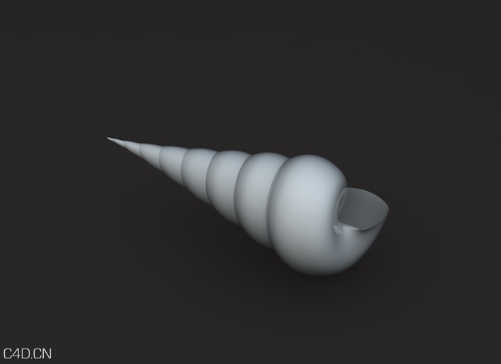 海螺C4D模型 Conch 3D model