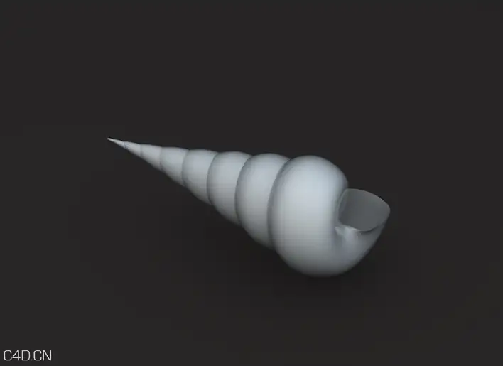 海螺C4D模型 Conch 3D model
