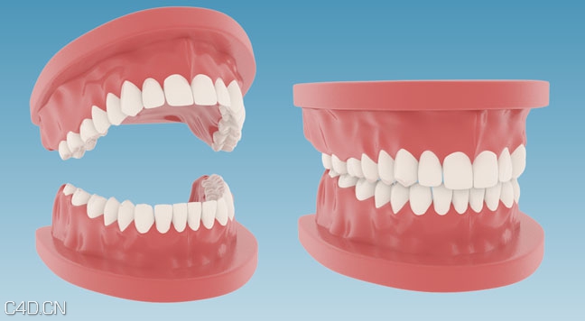 假牙C4D模型 Mode Teeth Dentures - C4D之家 - Free-C4D-Teeth-3D-Model-Dentures.jpg