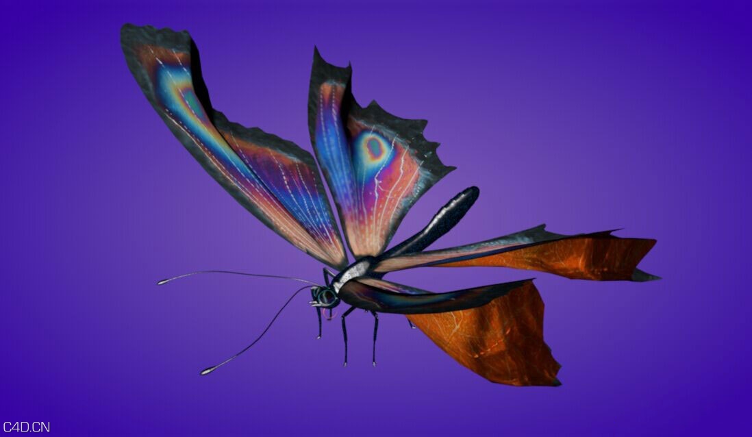 C4D蝴蝶绑定预设汉化版 Butterfly Xpresso Rig
