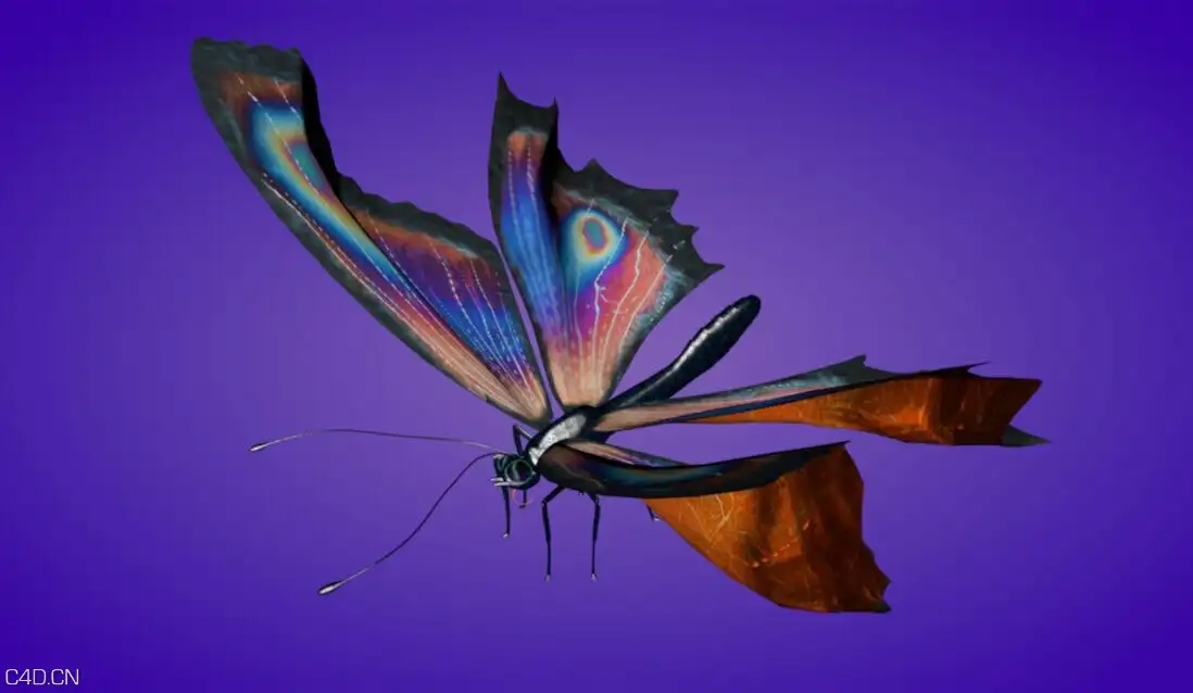 C4D蝴蝶绑定预设汉化版 Butterfly Xpresso Rig - C4D之家 - 135903b9k9rfrfaqxg0j0x.jpg