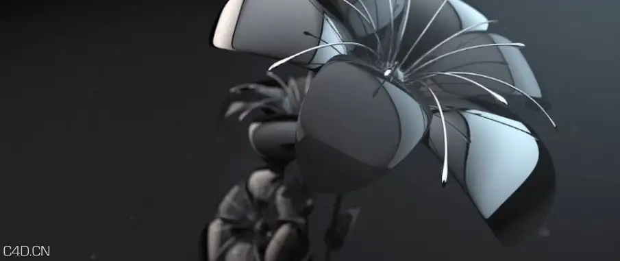 C4D与AE制作金属花动画教程 Metal Flowers