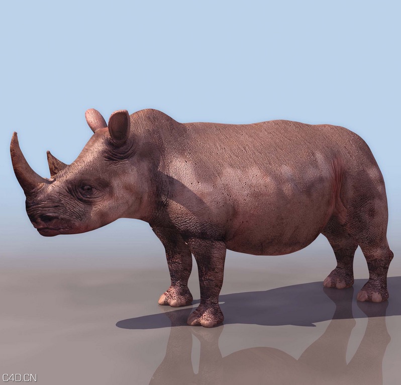 犀牛C4D模型 Rhino 3D model