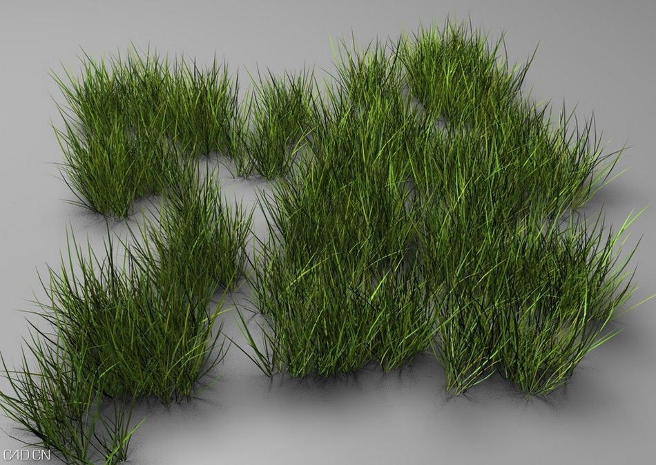 草丛C4D模型 The grass 3D model - C4D之家 - cinema4d_ 2015-04-21 22.19.16.jpg