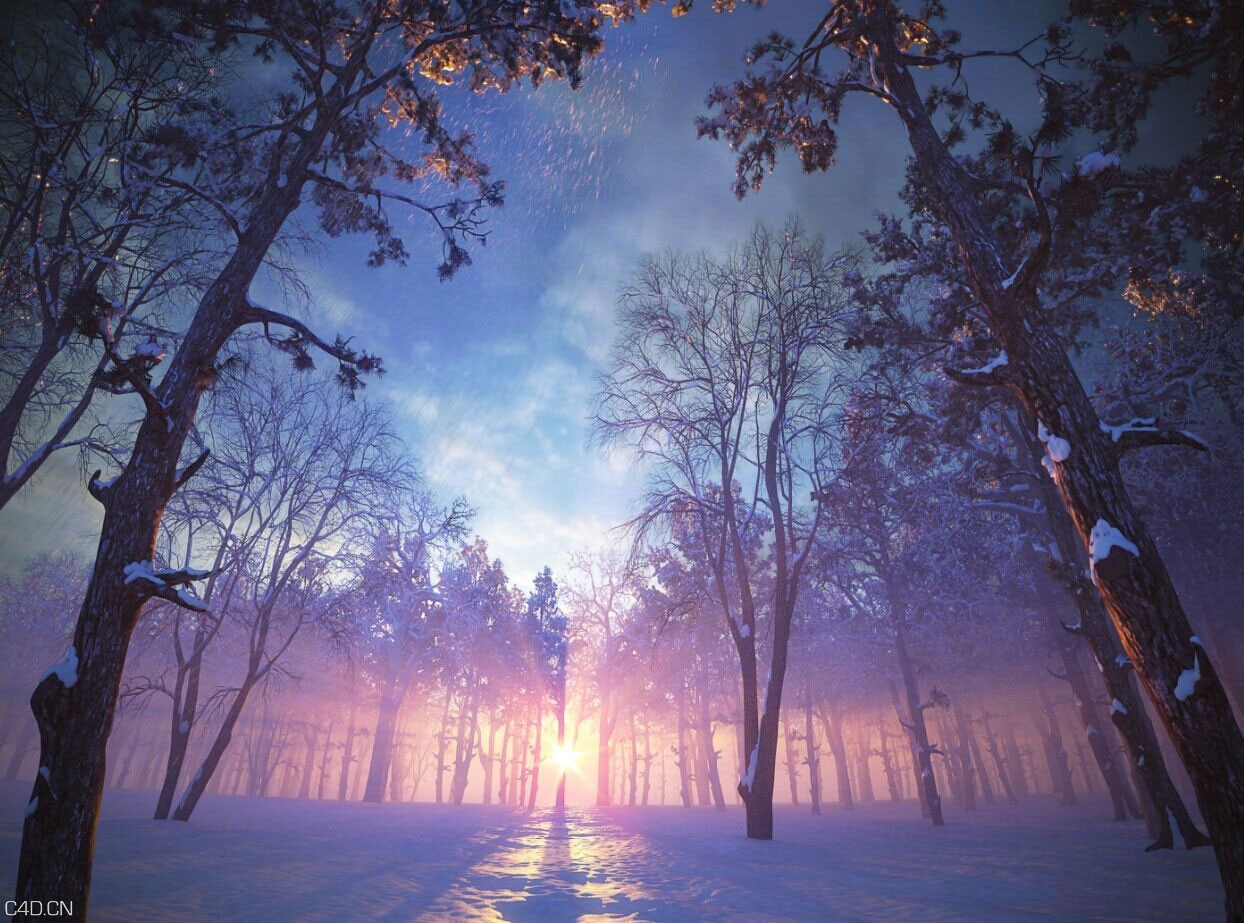 冬天雪景3D模型：大雪覆盖的树林C4D模型 - C4D之家 - 063446zhqw8gu5hohztq05.jpg