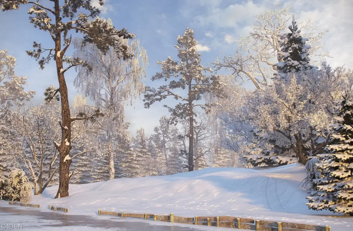 冬天大雪覆盖树林C4D场景 The winter snow covered forest scene