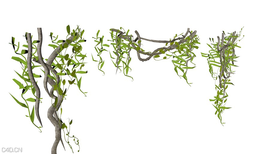 树藤/藤蔓C4D模型 Vines 3D model - C4D之家 - cinema4d_ 2015-05-02 11.55.00.jpg