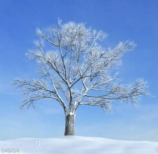 冬季积雪大树C4D模型 Winter snow tree 3D model