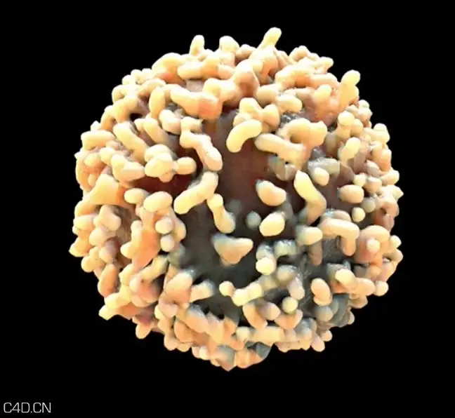 NAB 2015 Rewind系列教程：使用X-Particles粒子制作医学动画案例 - C4D之家 - cinema4d_ 2015-05-04 00.11.53.jpg