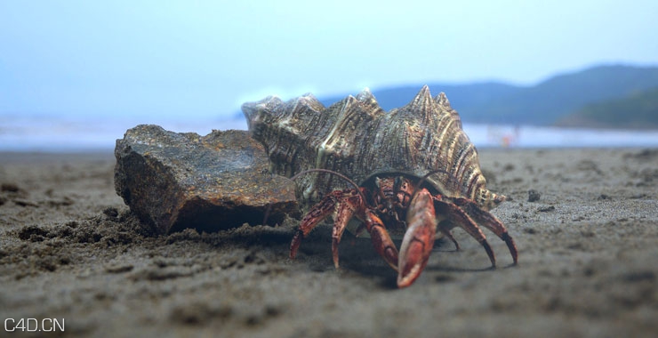[Maya/Mudbox/Nuke]写实“寄居蟹”全流程制作实用进阶技法