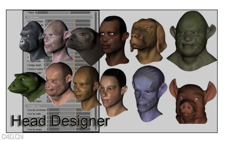 C4D head designer头部设计师脚本预设汉化版