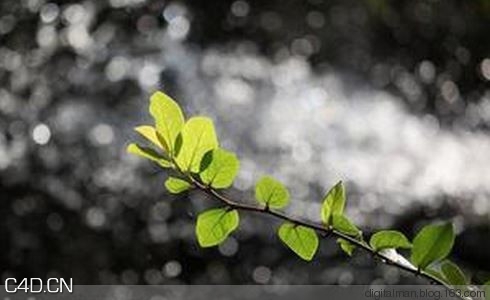 渲染学习笔记：Vray初探-8 物理相机 Vray physical camera