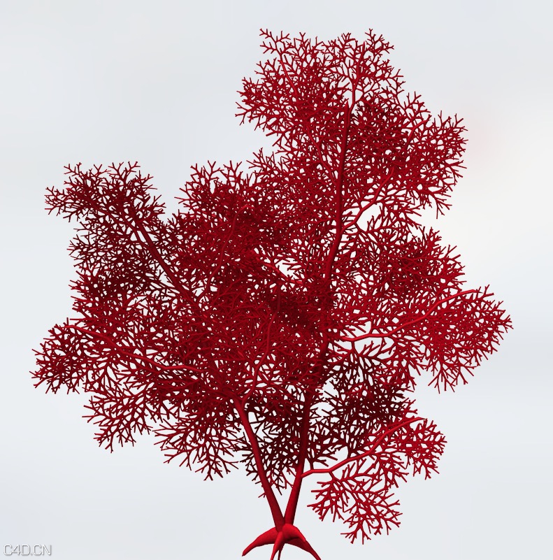 海底生物：巨型海扇C4D模型 Giant Sea Fan - C4D之家 - cinema4d_ 2015-06-10 00.01.25.jpg