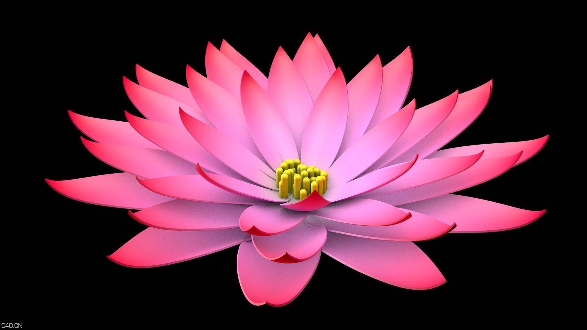 新做的耳机花 - C4D之家 - 花0033.jpg