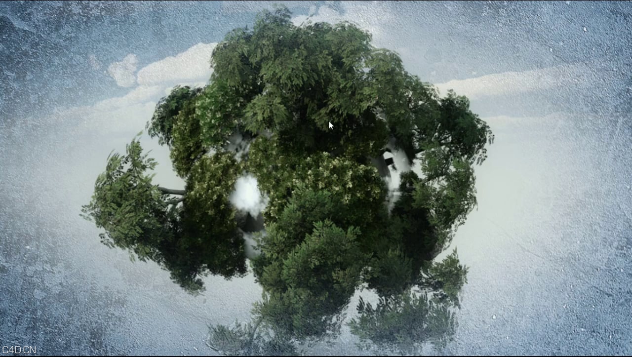 Vue植物与Cinema 4d工作流程 Using Vue xStream in Cinema 4d
