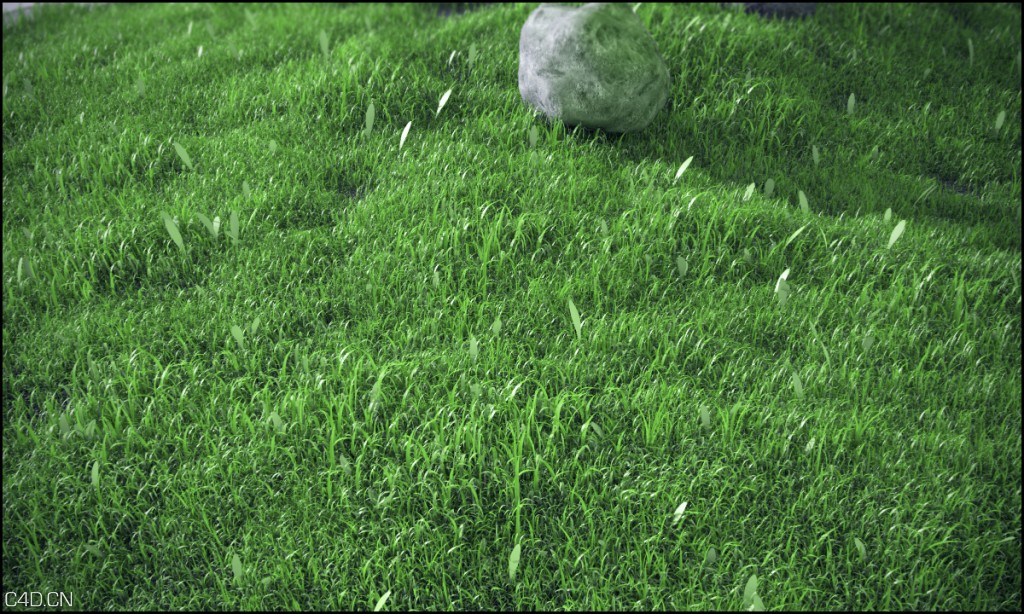 C4D VRAY草地预设文件 Ground Patterns + Grass