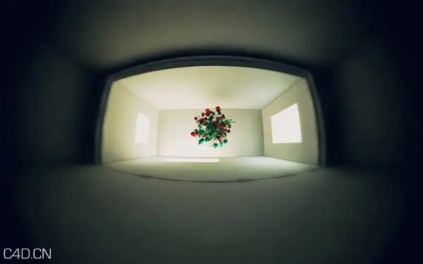 C4D鱼眼镜头摄像机预设 Fisheye Camera For Cinema 4D - C4D之家 - fisheye1.jpg