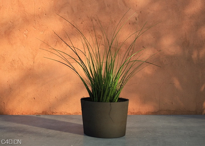 一盆花草C4D模型 景观花草 BUSH/PLANT, 3D MODEL - C4D之家 - bushplant-3d-model_kl.jpg