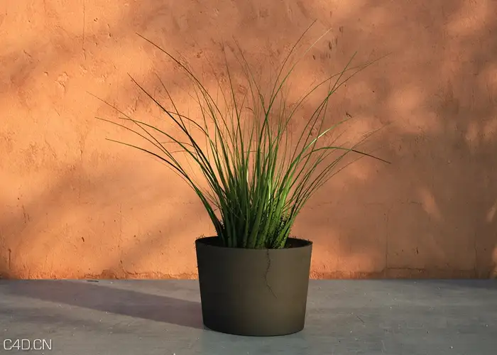 一盆花草C4D模型 景观花草 BUSH/PLANT, 3D MODEL - C4D之家 - bushplant-3d-model_kl.jpg