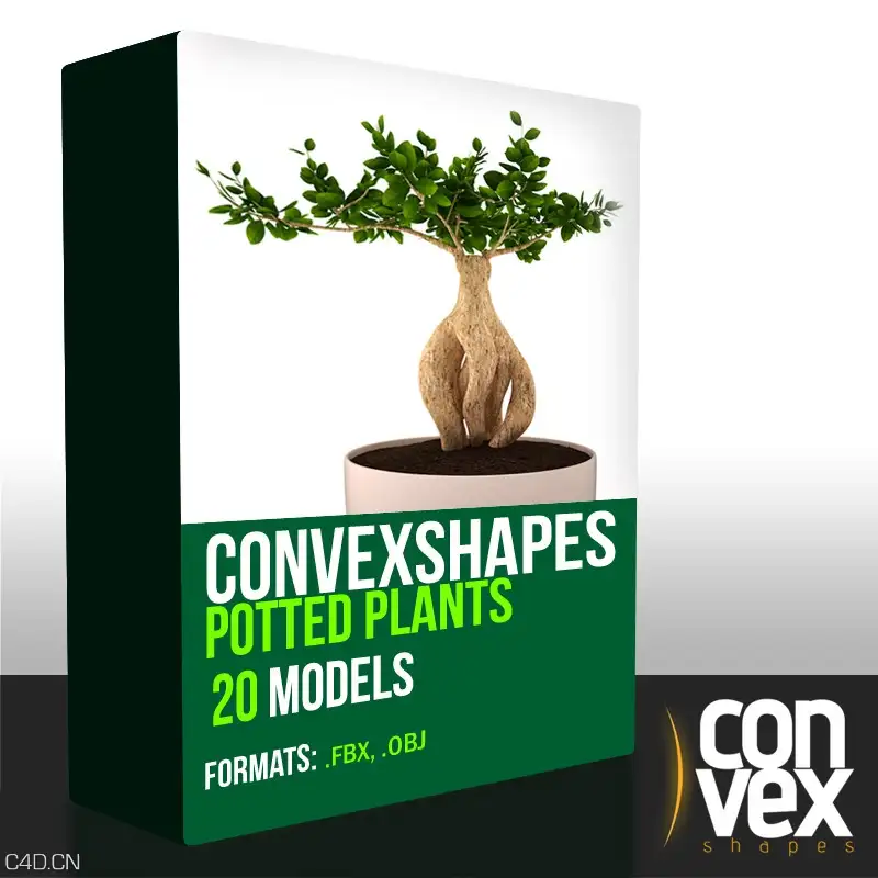 20个高精度植物盆栽3D模型 CGAXIS Convexshapes 3D Potted Plants - C4D之家 - PP_20_FBXOBJ.jpg26d0298e-2e68-49f1-9960-9273840f0922Original.jpg