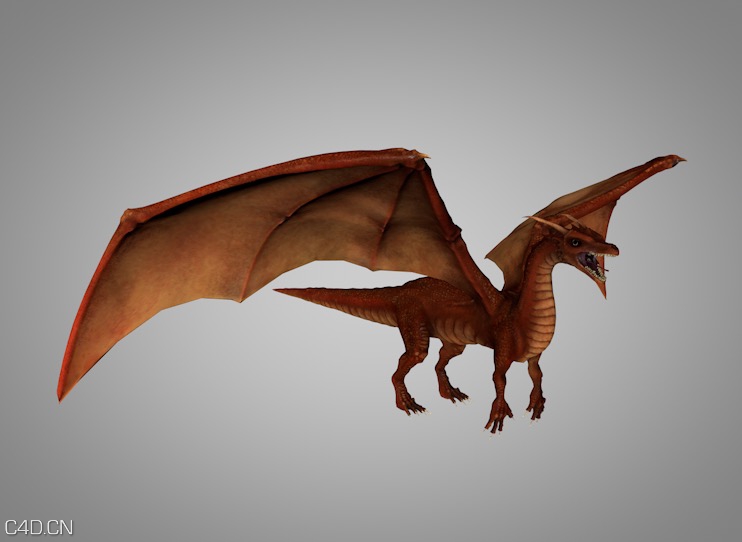 魔龙、飞龙C4D模型 dragon 3d model - C4D之家 - cinema4d_ 2015-08-07 21.27.32.jpg