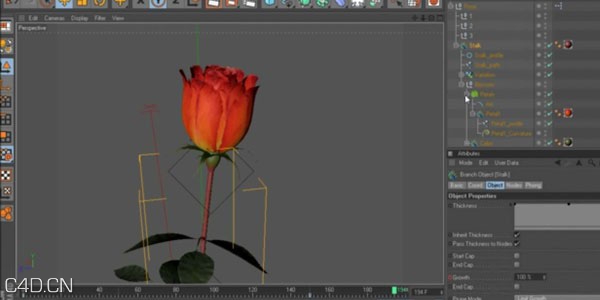 Xfrog 5 for Cinema 4D 植物生长教程 Modeling a rose with xfrog 5 for cinema4d