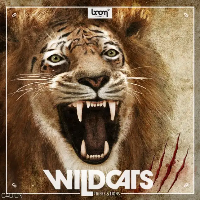 猫科动物：老虎狮子动物音效Boom Library - Wildcats Tigers Lions - C4D之家 - BOOM_Wildcats-645x645.jpg