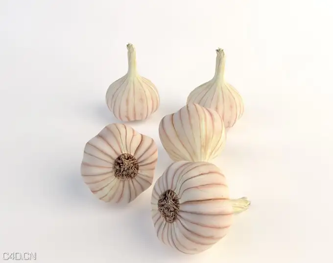 C4D蔬菜模型-大蒜模型 Garlic
