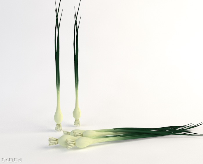 C4D蔬菜模型-青葱3D模型 Onion green