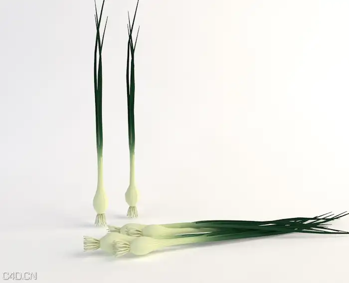 C4D蔬菜模型-青葱3D模型 Onion green