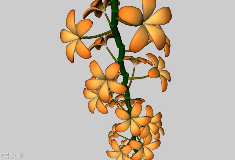 漂亮的花束花朵生长动画C4D工程文件 Flower growing animation