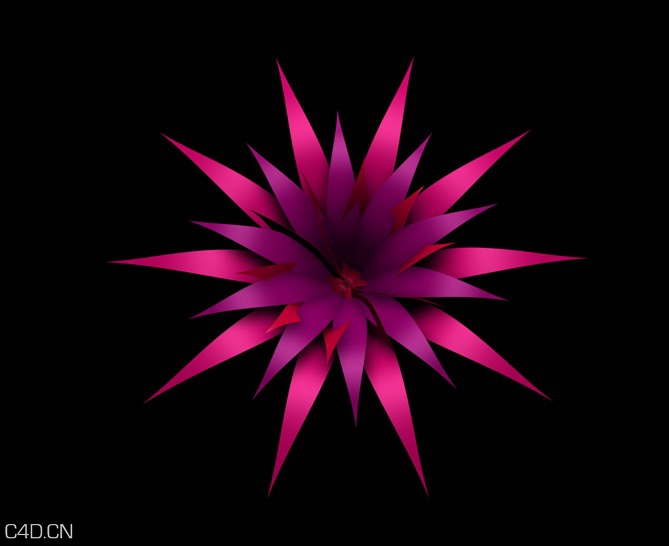 紫红色花朵C4D生长动画 Purple red flowers C4D growth animation