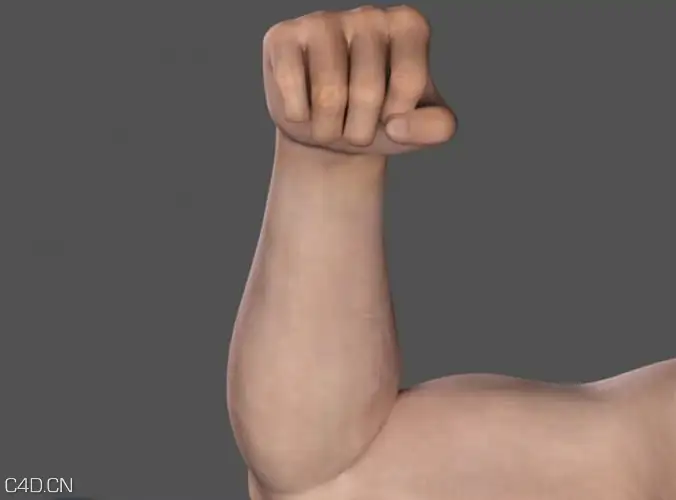 人体肢体模型：胳膊C4D模型 Adult Male Arms and Hands - C4D之家 - large_adult_male_arms_and_hands_3d_model_3ds_fbx_c4d_lwo_lw_lws_ma_mb_obj_hrc_xs.jpg