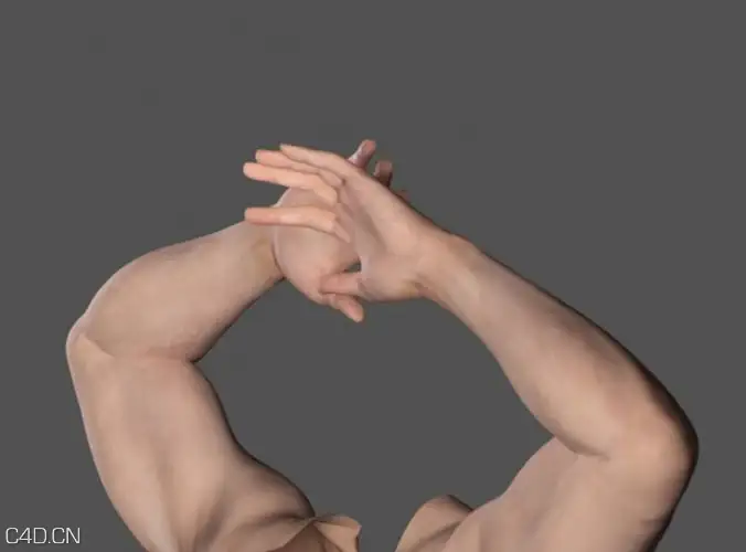 人体肢体模型：胳膊C4D模型 Adult Male Arms and Hands - C4D之家 - large_adult_male_arms_and_hands_3d_model_3ds_fbx_c4d_lwo_lw_lws_ma_mb_obj_hrc_xs.jpg