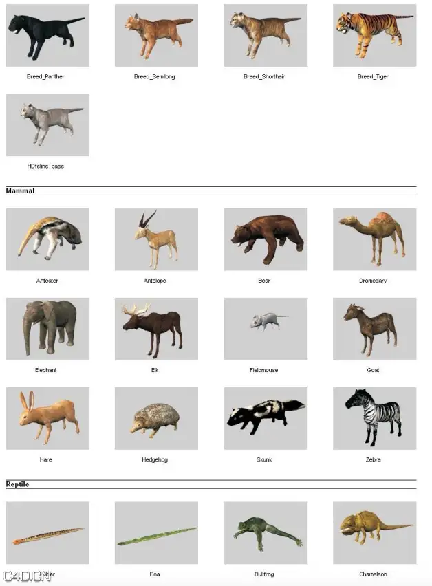 48个动物3D模型 DOSCH DESIGN – 3D: Animals - C4D之家 - forum-201502-14-005828tzcu0mta4artacmt.jpg