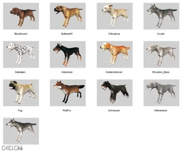 48个动物3D模型 DOSCH DESIGN – 3D: Animals - C4D之家 - forum-201502-14-005829f1779uzftkwnfsxk.jpg