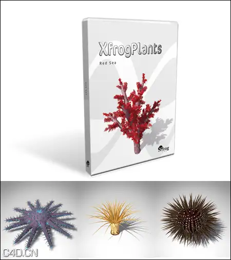 红海海洋生物3D模型合集 XfrogPlants – RED SEA
