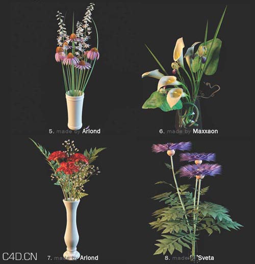 花卉3D模型合集 3DDD – Flower highres models - C4D之家 - 1277091867_3ddd_flowers_page_03.jpg