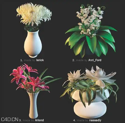 花卉3D模型合集 3DDD – Flower highres models - C4D之家 - 1277091876_3ddd_flowers_page_02.jpg