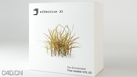 干枯植被：毛草3D模型 Effective 3D VOL.03: Dry Environment - C4D之家 - forum-201502-13-231154y5rda41qcr9rhnit.jpg