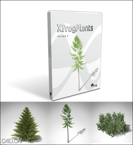 欧洲树木C4D模型合集 XfrogPlants – EUROPE 2