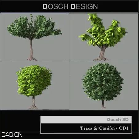 景观树木3D模型合集 Trees / Conifers [CD1] - C4D之家 - forum-201502-13-235607x6f9kh6km8x8mqcc.jpg