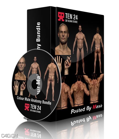 男性人体扫描3D真实模型 Colour Male Anatomy Bundle 01 - C4D之家 - forum-201503-07-211433yk39de9qh6dhklfl.jpg