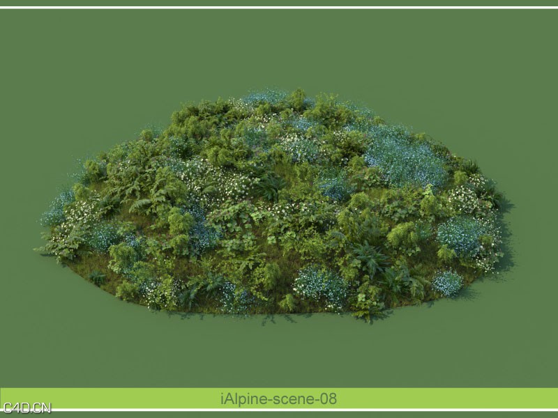 阿尔卑斯山景观植物和石头3D模型合集 R/D Group – iAlpine for MultiScatter - C4D之家 - forum-201503-16-140117uyhr9kdjbfetwelb.jpg