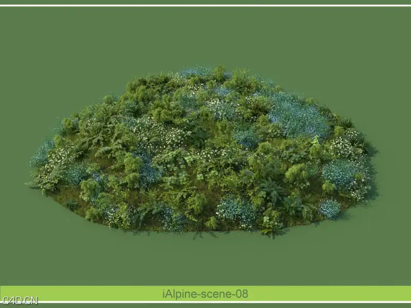 阿尔卑斯山景观植物和石头3D模型合集 R/D Group – iAlpine for MultiScatter - C4D之家 - forum-201503-16-140117uyhr9kdjbfetwelb.jpg