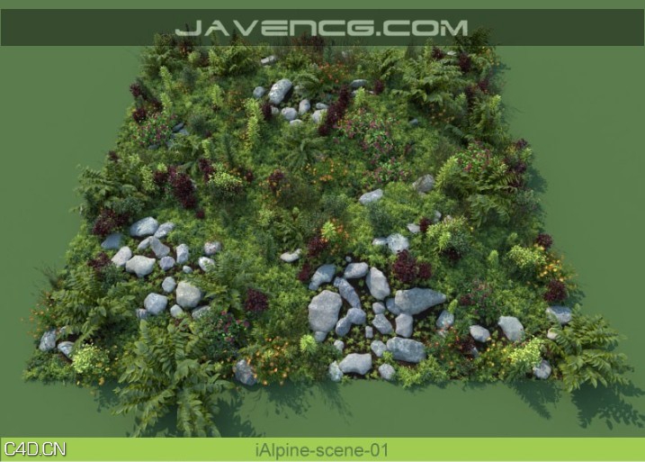 阿尔卑斯山景观植物和石头3D模型合集 R/D Group – iAlpine for MultiScatter - C4D之家 - forum-201503-16-140118lseqy1wgsqkq74u5.jpg