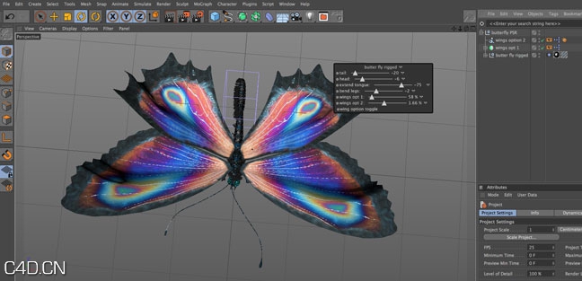 C4D蝴蝶模型（Xpresso绑定） fully rigged C4D Xpresso butterfly rig